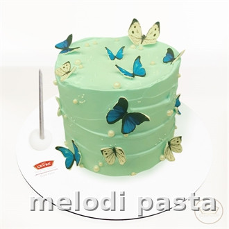 Kelebekli Yazılı Pasta