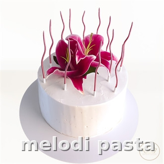 Retro Pasta